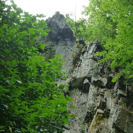 Relaxen Am Rotweinwanderweg Dom wakacyjny *