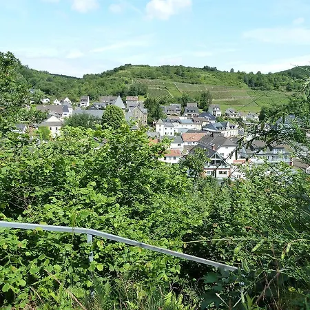Dom wakacyjny Relaxen Am Rotweinwanderweg Altenahr